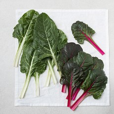 곰곰 국내산 근대 & 적근대, 300g, 1개