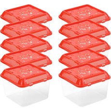  코코넷 PP탄성 채집통 대, 랜덤발송(뚜껑), 10개 