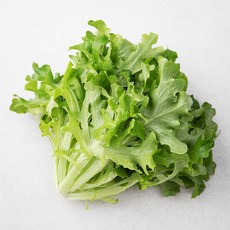 친환경 이자트릭스, 85g, 1개