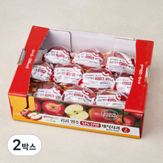 곰곰 농협 영주 당도선별 세척사과, 2kg, 2박스