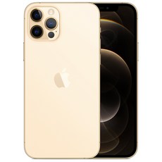 Apple 아이폰 12 Pro 자급제, 256GB, 골드