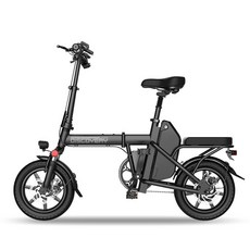 레이윙 디스커버리 전기 자전거 48V 10.4Ah, 블랙, 알루미늄(알로이)