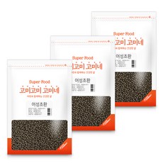 진초고