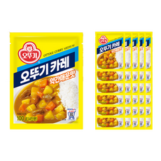 오뚜기 카레 과립형 약간매운맛, 100g, 40개