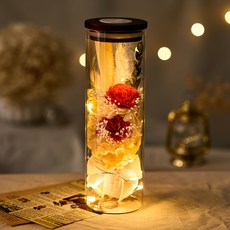 뮤니드 그레이스 카네이션 LED 유리병 레터 세트, 러블리 레드(카네이션), 러블리 레드, 1세트