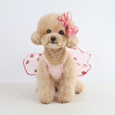 Grooming Dog 寵物澎澎裙, 粉色的