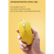 플레이기어 무소음 유선 마우스, PM121, 매트블랙