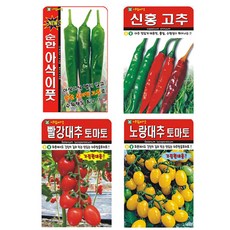 고추 씨앗 2종 + 방울토마토 씨앗 2종 세트, 1세트