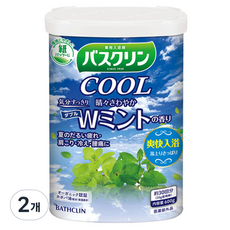 바스크린 쿨민트 입욕파우더 민트향, 600g, 2개