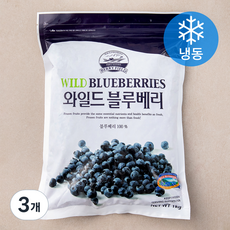 베리필드 캐나다산 와일드 블루베리 (냉동), 1kg, 3개