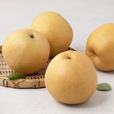 딜리조이 나주 당도선별 신고배, 2kg, 1개