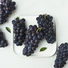 정가네막퍼주는집 캠벨포도, 1박스, 2kg