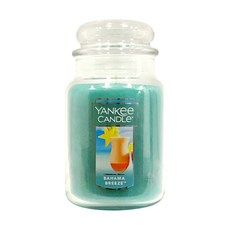 YANKee CANDLe 香氛蠟燭 Bahama Breeze 623.7克 1個, 623.7g