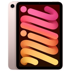 Apple 아이패드 mini, Wi-Fi, 256GB, 핑크