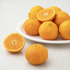 다조은 강서시장 새벽경매 카라향, 1.5kg, 1개