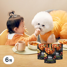 하림펫푸드 강아지 전연령용 더리얼 퀴진 파우치, 볼로네제, 100g, 6개