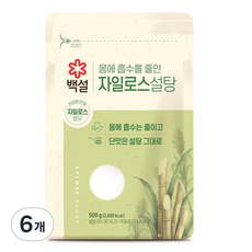 백설 자일로스 설탕, 500g, 6개