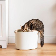 아이리스 고양이 화장실 PUNT-430, 화이트