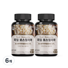 퍼니트 리얼 보스웰리아, 60정, 6개