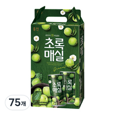 웅진 초록매실 음료선물세트, 180ml, 75개