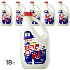 펑크린 유한양행 유한, 2L, 18개