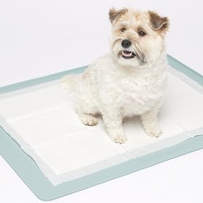 쉬즈곤 강아지 실리콘 논슬립 배변 매트, 노블그레이, 1개