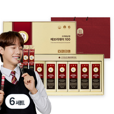 풍년보감 6년근 고려홍삼정 에브리데이100 60포 세트 + 쇼핑백, 900g, 6세트 900g, 6개