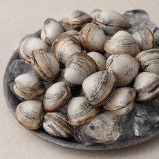 곰곰 동죽조개, 800g, 1개
