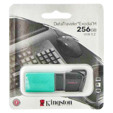 Kingston 金士頓 DataTraveler Exodia M 256GB USB 3.2 隨身碟, 1個