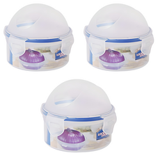 LocknLock 樂扣樂扣 洋蔥保存容器 300ml, 3個, 單品