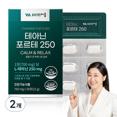 비타민마을 테아닌 포르테 250 21g, 2개, 30정
