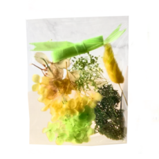 A-ONE 匯旺 浮游花DIY花材包 Set，天然植物乾燥花，12 x 12 CM, H18 翡翠微光 彩色