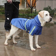 DING DONG PET 寵物短袖反光條雨衣, 藍色