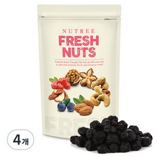 너트리 건블루베리, 200g, 4개
