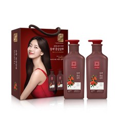 동의홍삼 손상모 윤기 케어 홍삼샴푸 동백향, 2개, 500ml