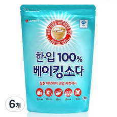 한입 100% 베이킹소다