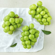 곰곰 비파괴 당도선별 샤인머스캣, 1.5kg, 1개