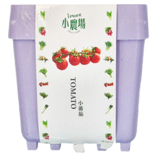 iPlant 積木農場盆栽, 小蕃茄, tomato, 小番茄