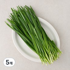 김해 대동 부추, 300g, 5개
