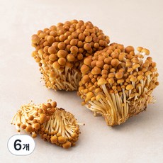 국내산 친환경 갈색 팽이버섯, 400g, 6개