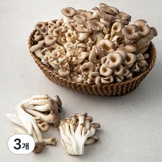 국내산 애느타리버섯, 2kg, 3개