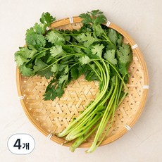 국내산 유기농 고수, 30g, 4개