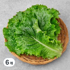 GAP 한끼 청상추, 80g, 6개