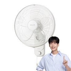 Shinil 信一 壁掛式電風扇 SIF-16W24A
