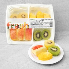 프레시지 오늘의 신선한 과일 4종 세트, 500g, 1개