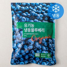 딜라잇가든 유기가공식품 인증 블루베리 (냉동), 900g, 1개