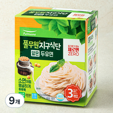 풀무원 지구식단 얇은 두유면, 150g, 9개