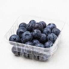 온새미 무농약 인증 국내산 블루베리, 100g, 1개