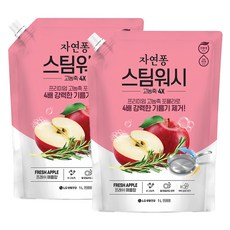 자연퐁 스팀워시 4X 주방세제 애플향, 1L, 2개