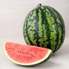 산지직송 좋은하루 받아서 바로먹는 아이스 수박, 7kg 미만, 1개